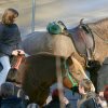 Blagoslov konj 2009 - 036